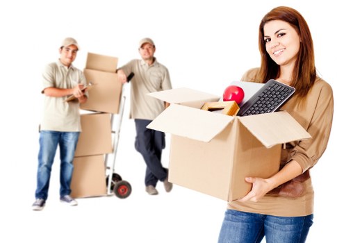 Organized storage support for changing everyday needs